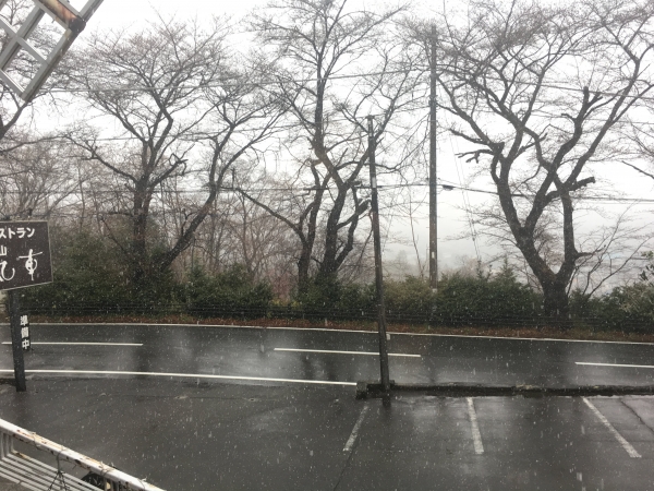 3月21日　雪